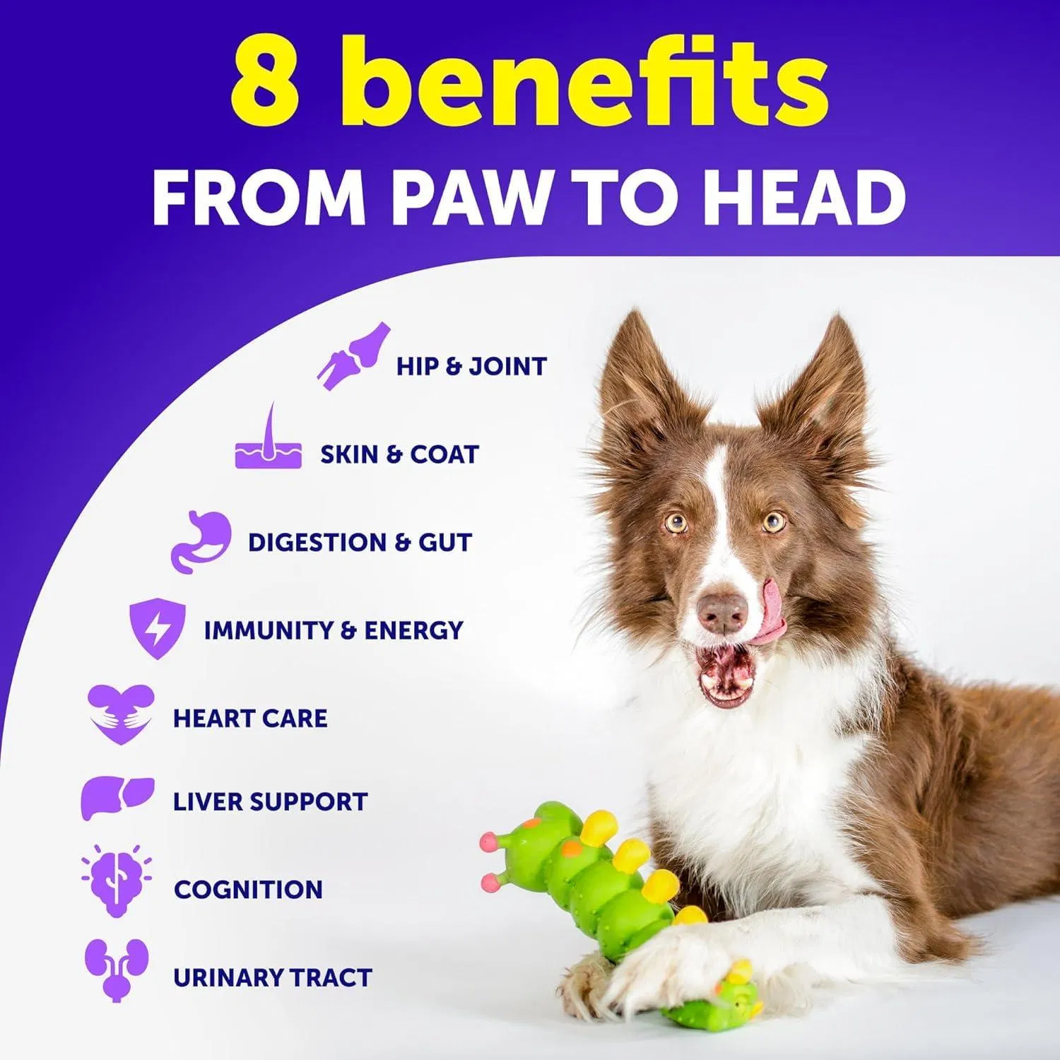 Dog Multivitamin Chewable With Glucosamine 20 In 1 Dog Vitamins And Supplements Senior & Puppy Multivitamin For Dogs Pet Joint Support Health Immunity Mobility Gut Skin 120 Chews